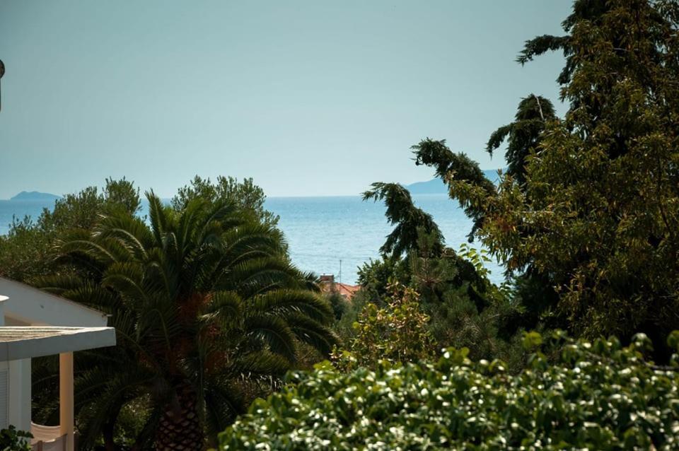 Villa Calypso Palaiontsiflikion Exterior photo